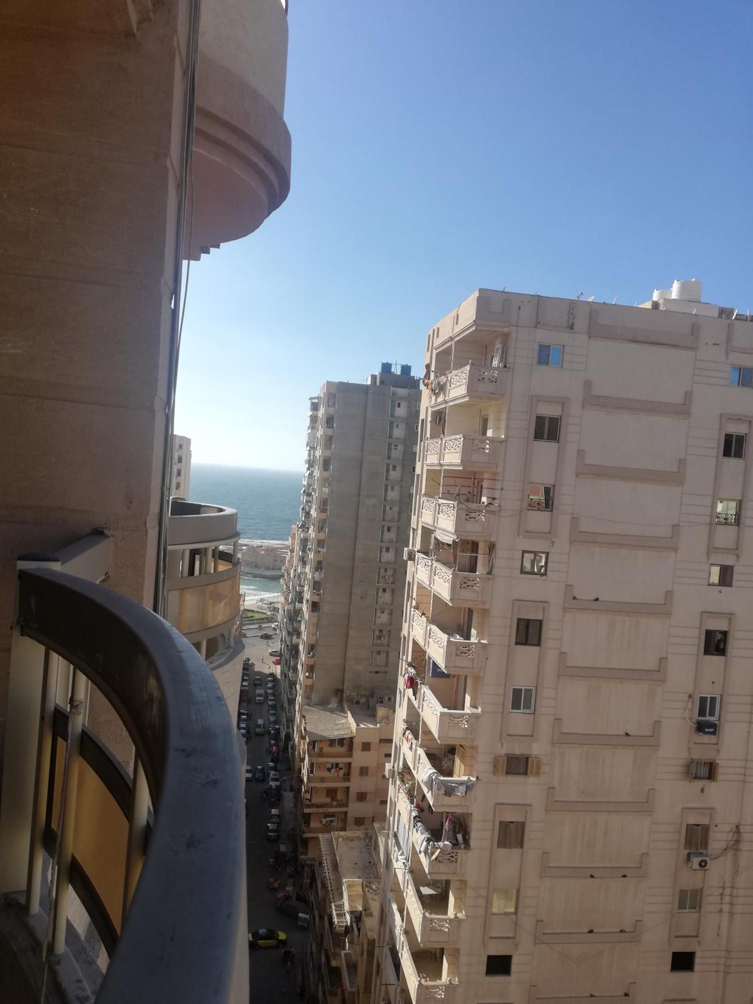 Charming Maxam * Alexandria